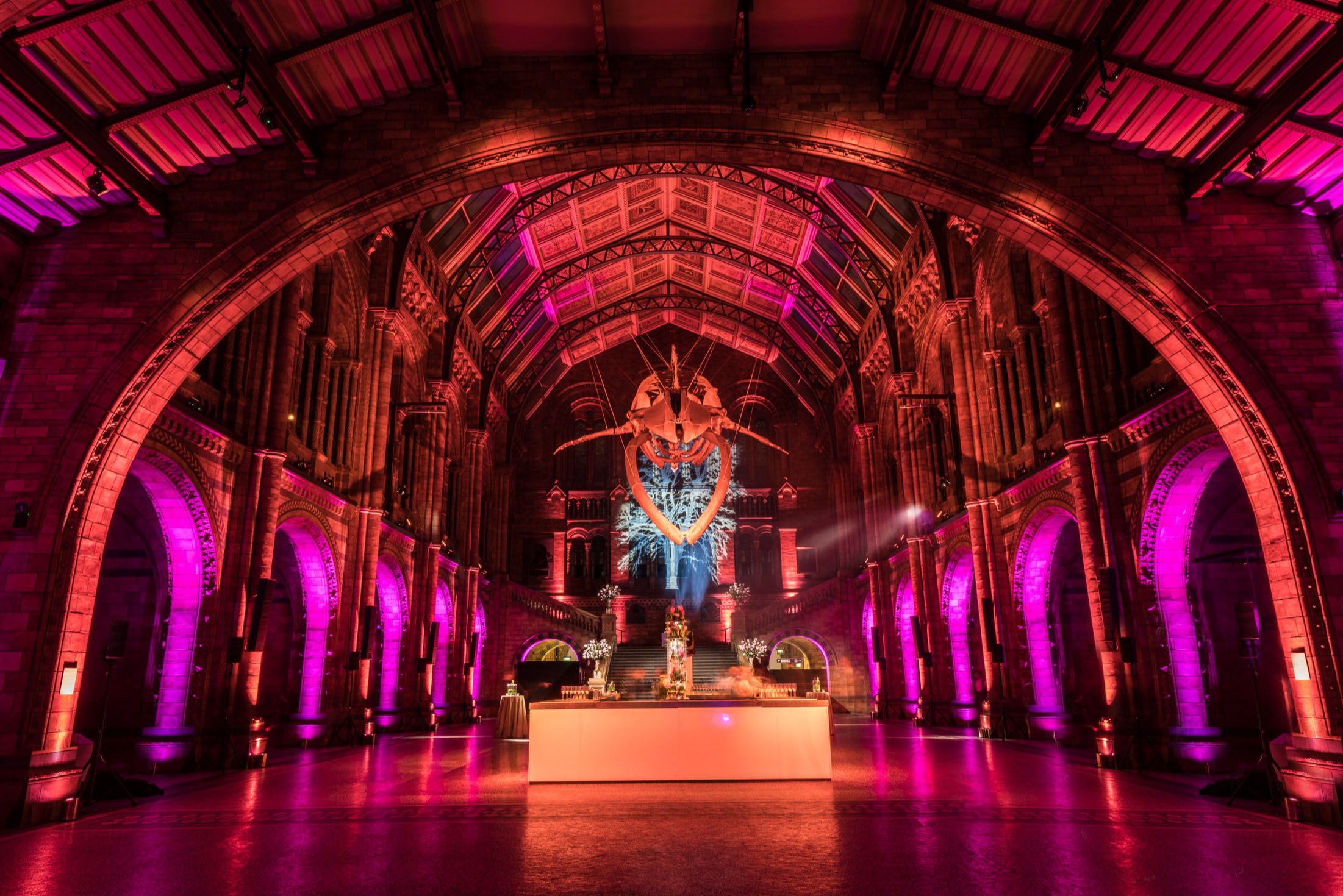 Credit: Bespoke Events - Natural History Museum