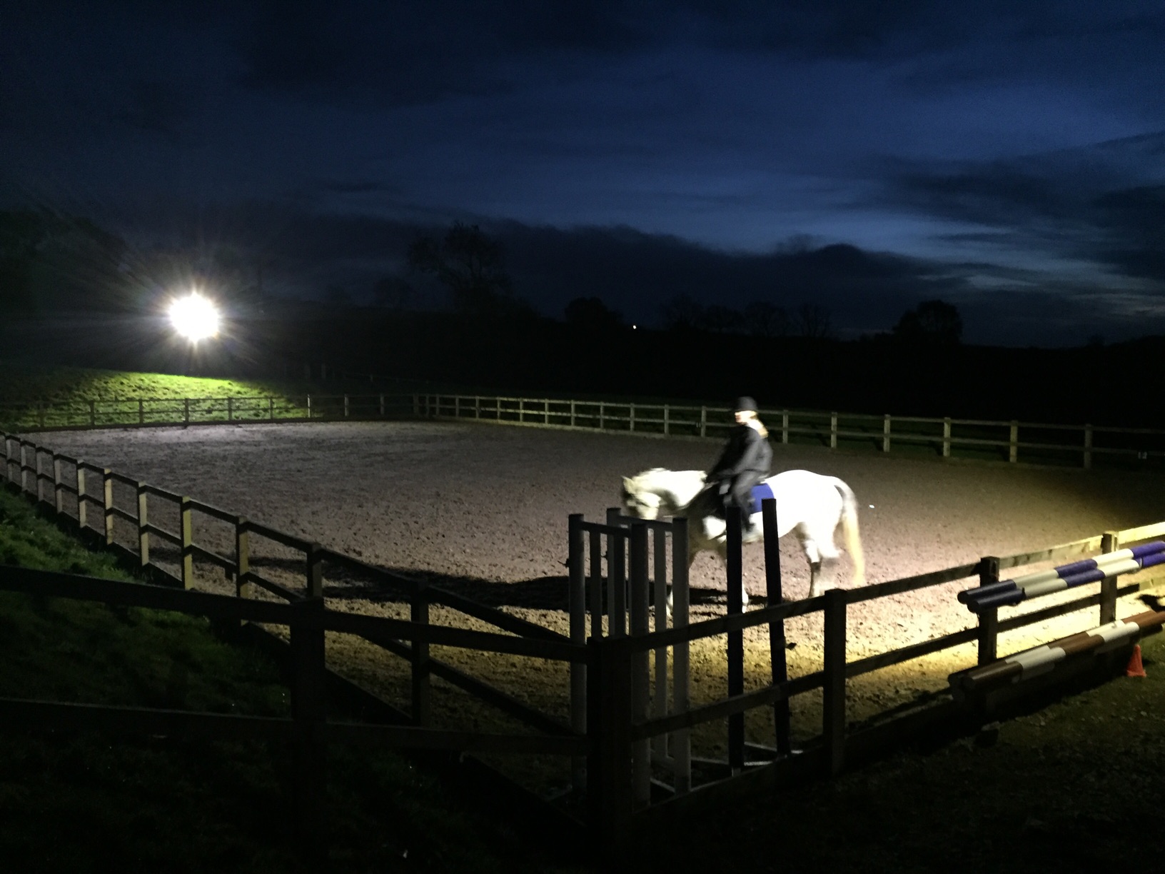Battery Powered lighting for Equestrian - FloodLight