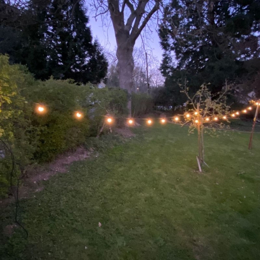 festoon lights 6